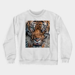 Tiger's Eyes Crewneck Sweatshirt